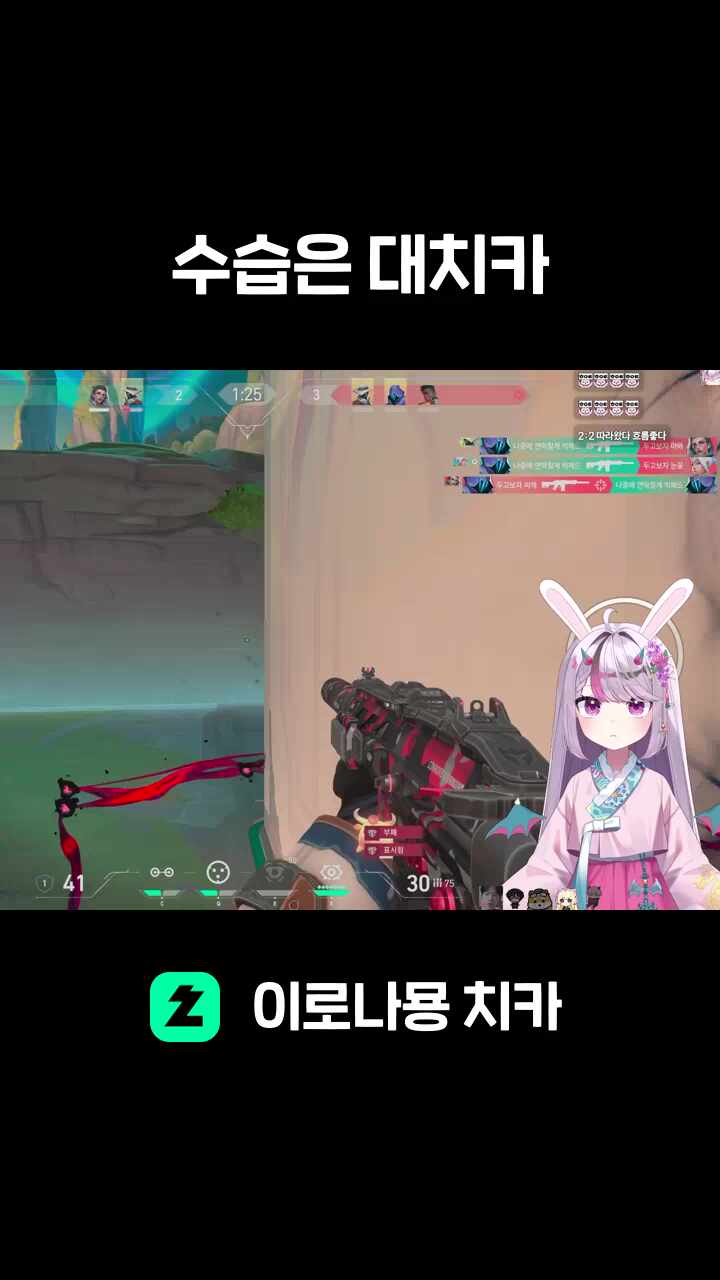 수습은 대치카