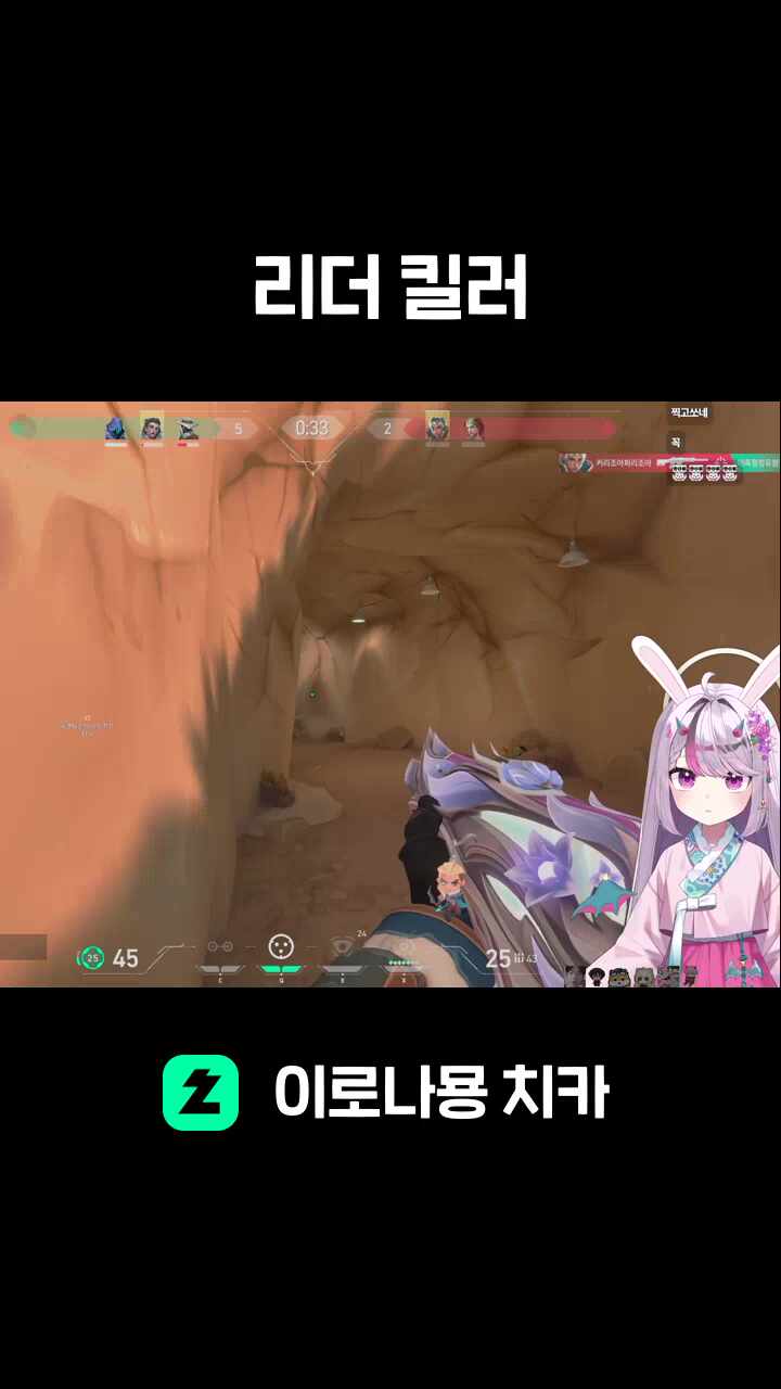 리더 킬러