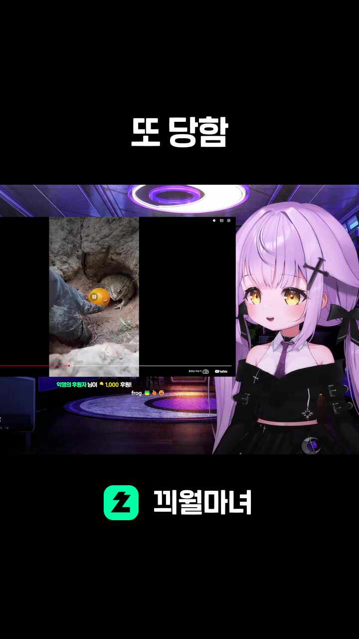 또 당함