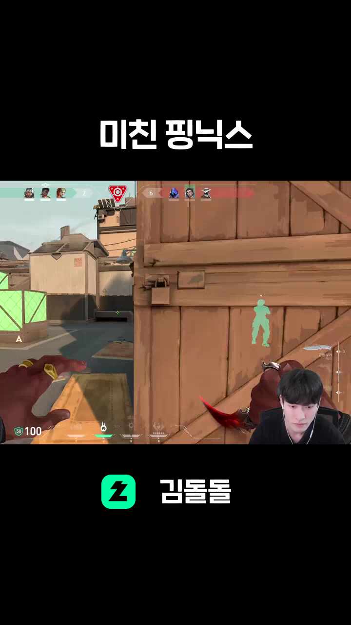 미친 핑닉스
