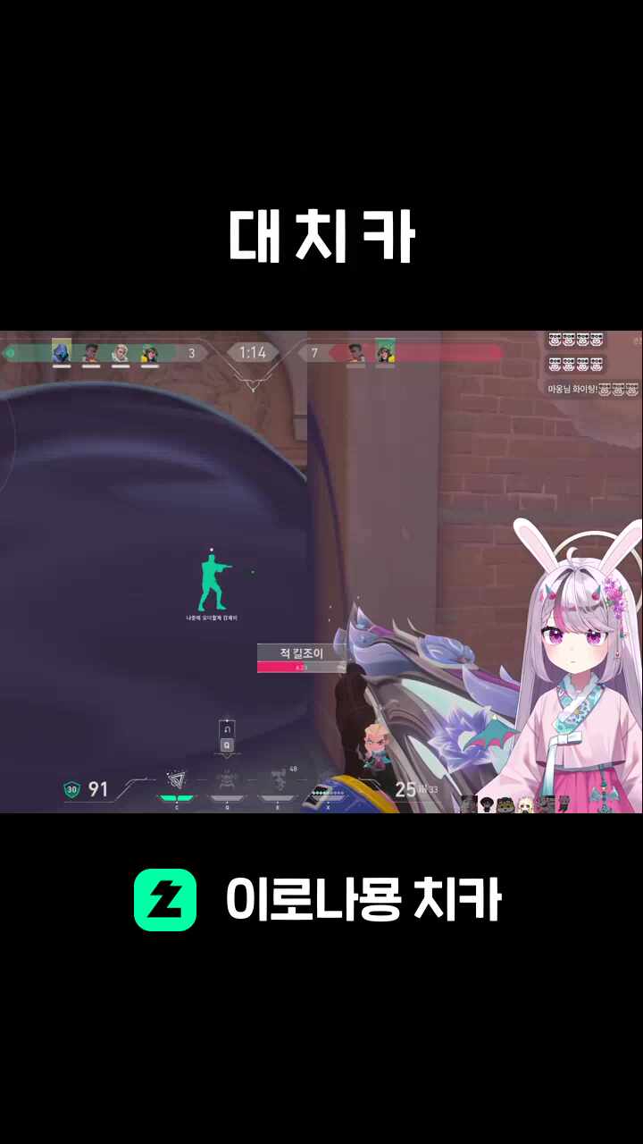 대 치 카
