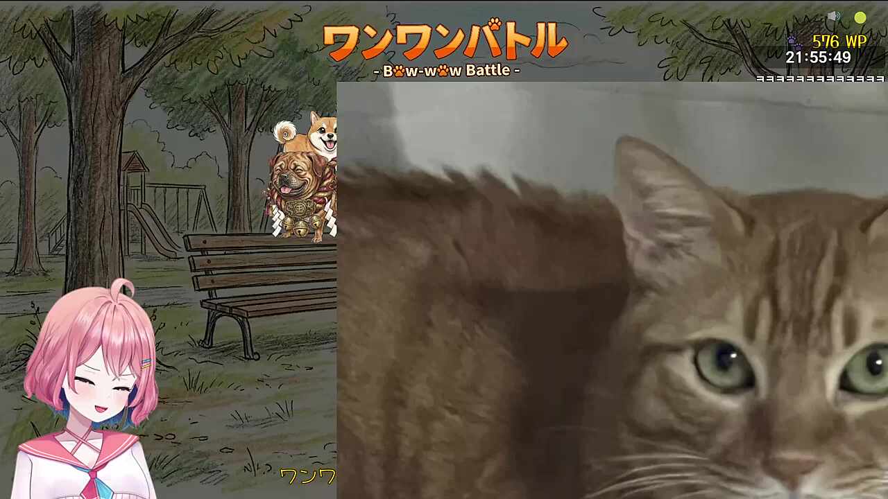 놀란 키키햄