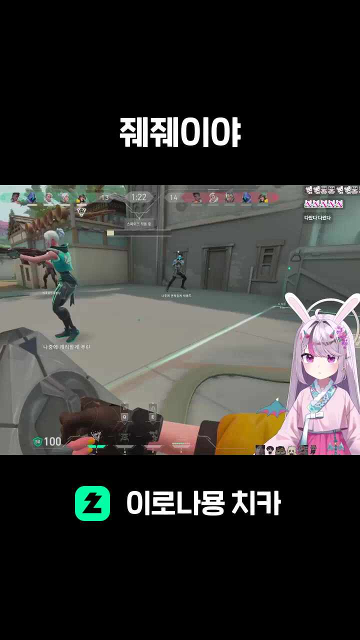 줴줴이야