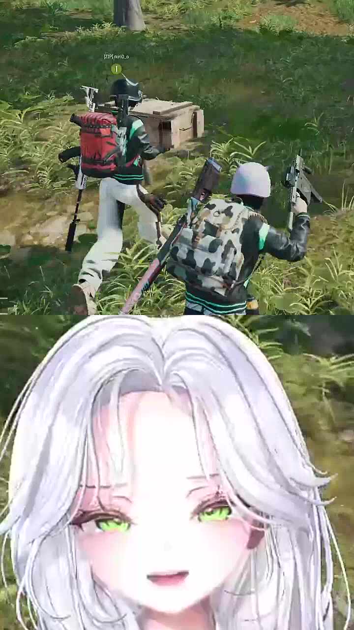 관짝밈