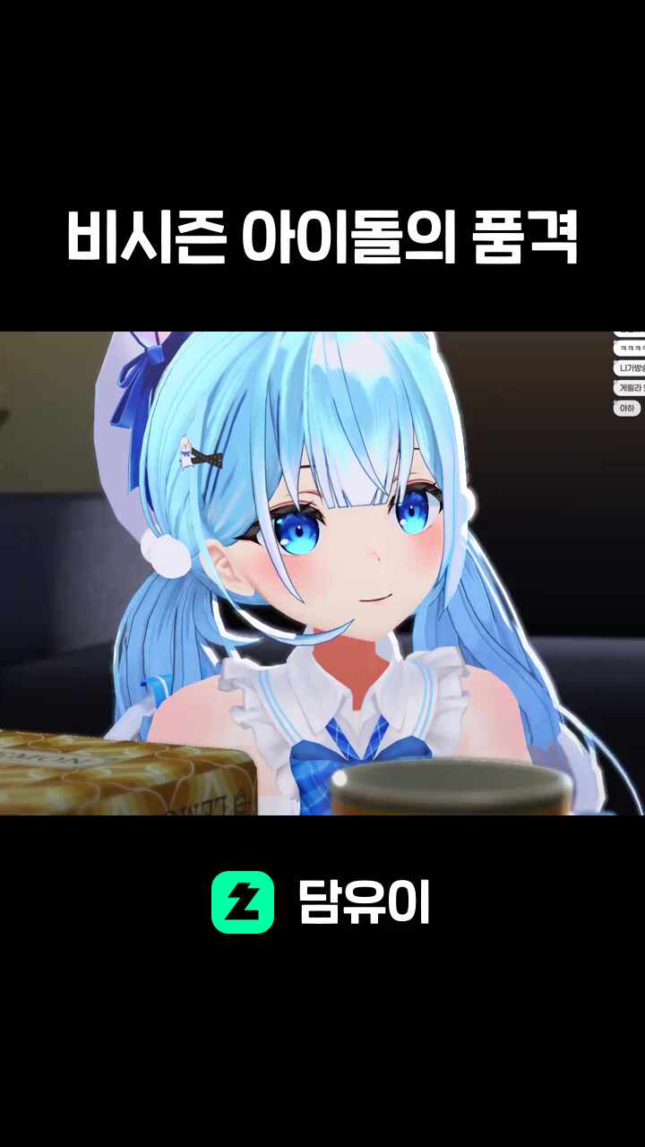 비시즌 아이돌의 품격