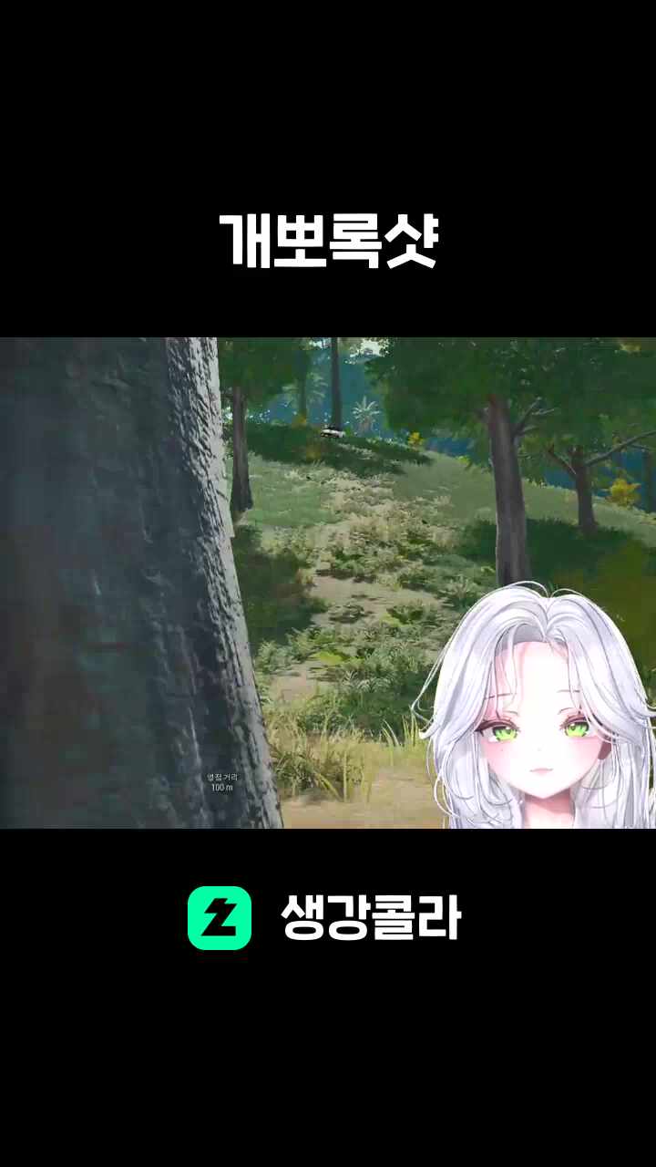 개뽀록샷