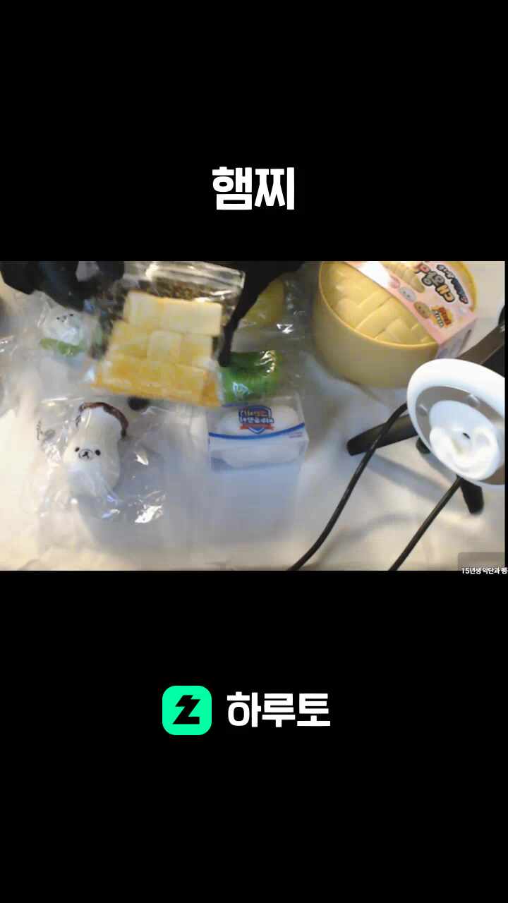 햄찌