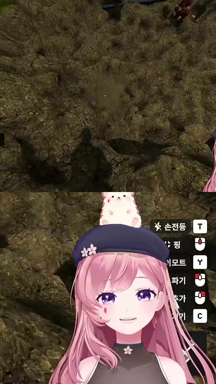 김해김씨