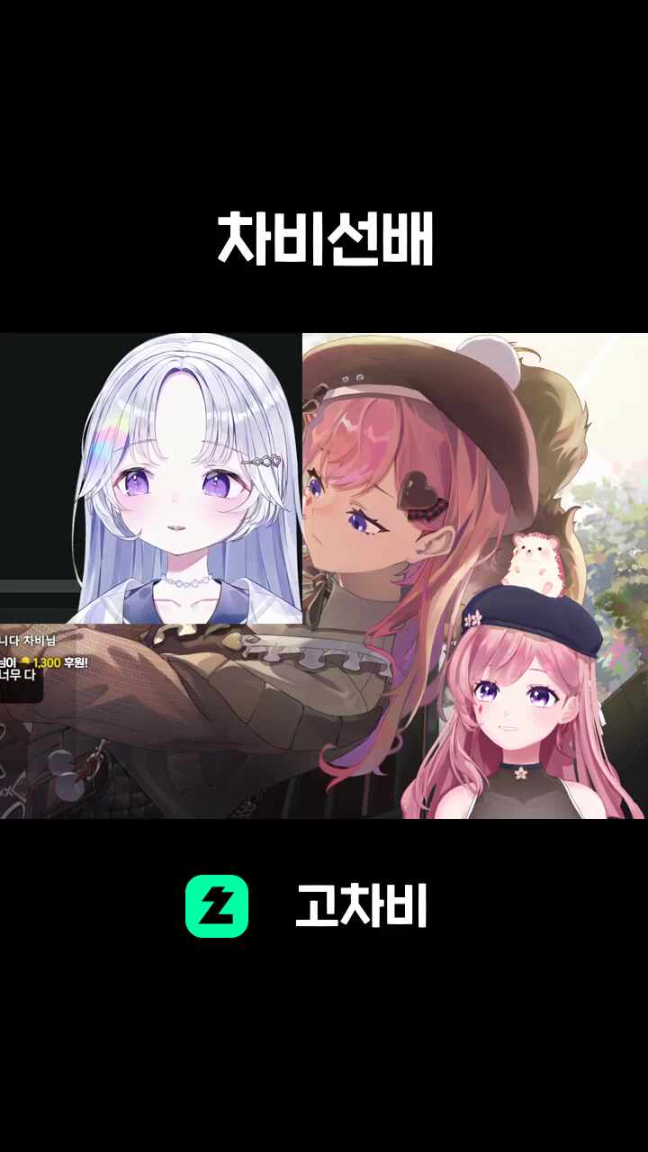 차비선배