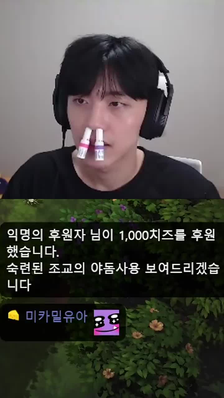 쌍야돔 시범