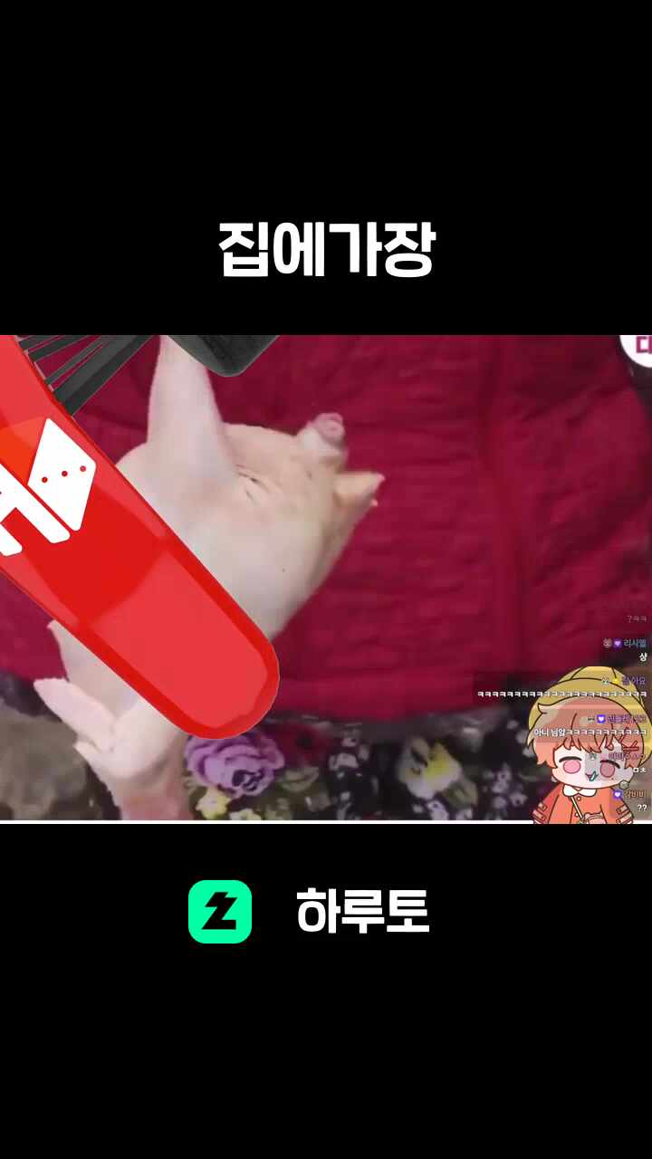 집에가장
