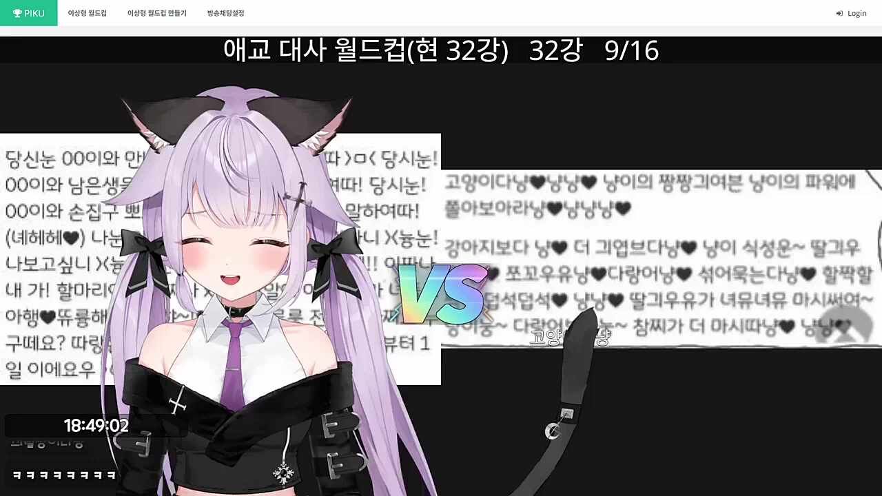 끠월냥이다냥