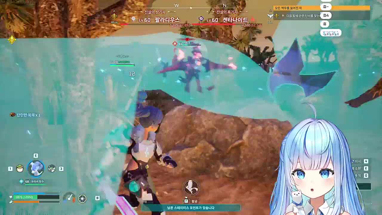 쌍기사 1트