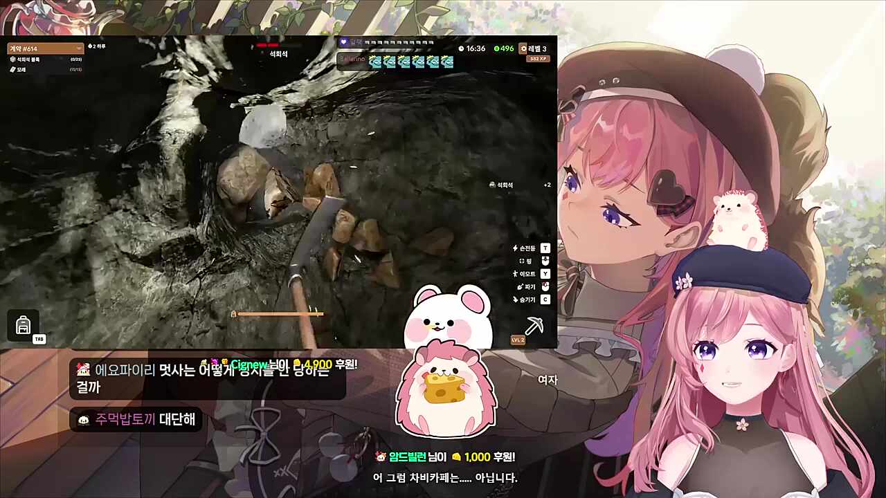 멋사, 여자 멋사의 합방?