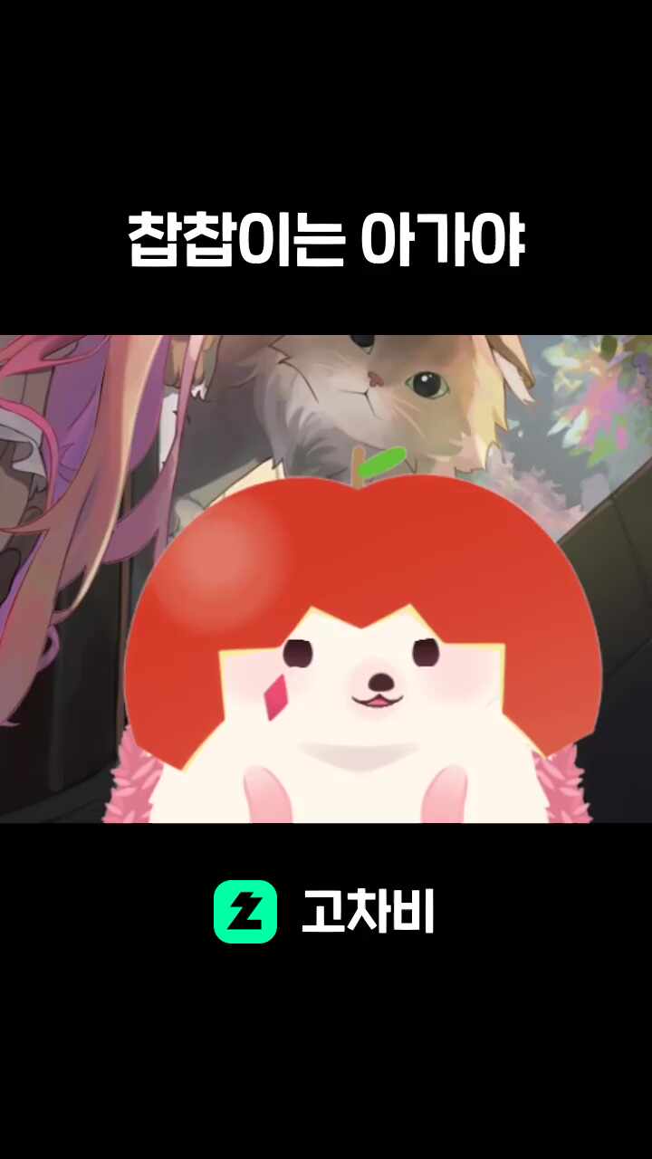찹찹이는 아가야