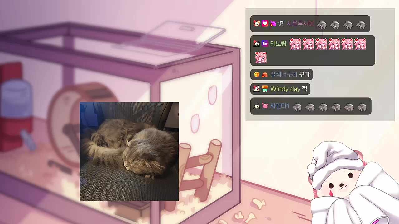 귀엽다