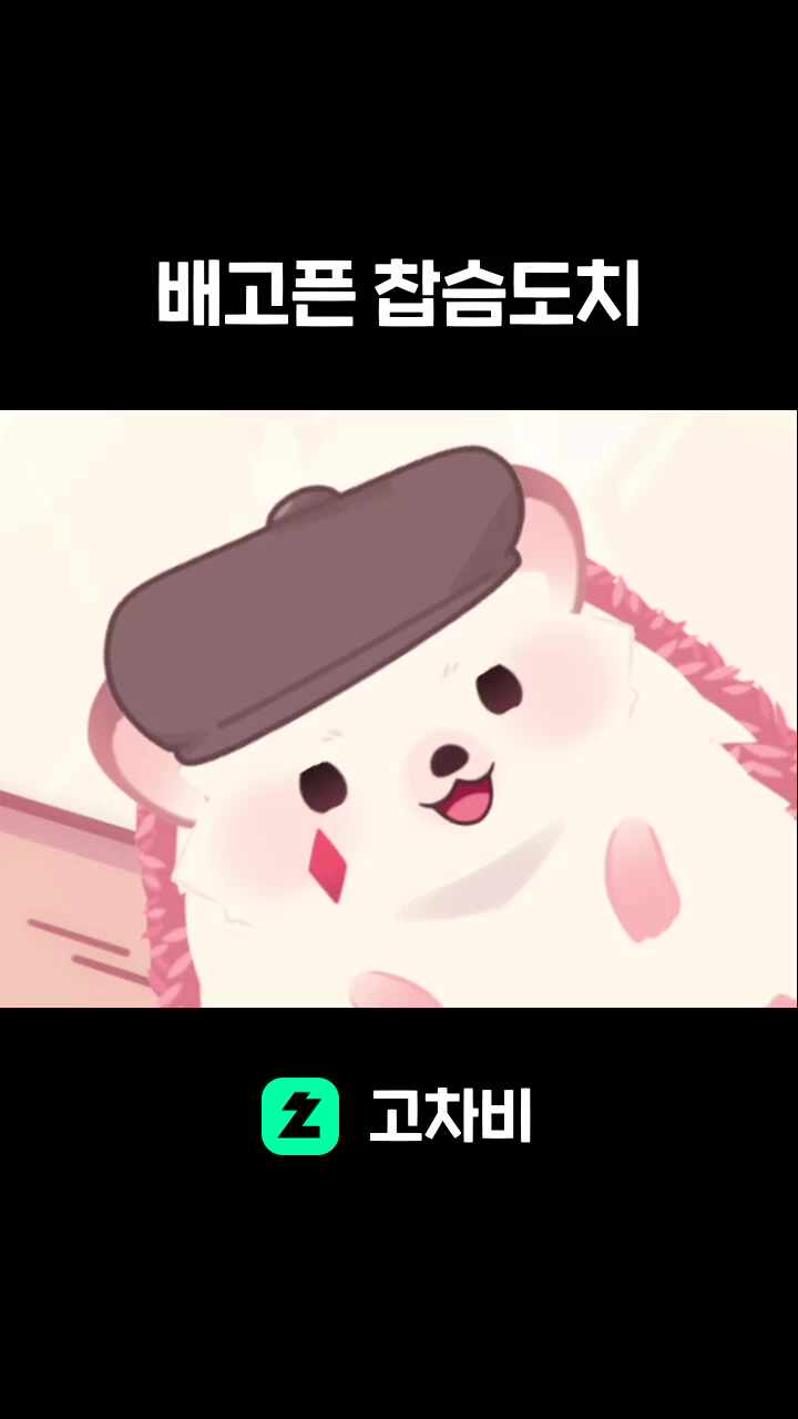 배고픈 찹슴도치