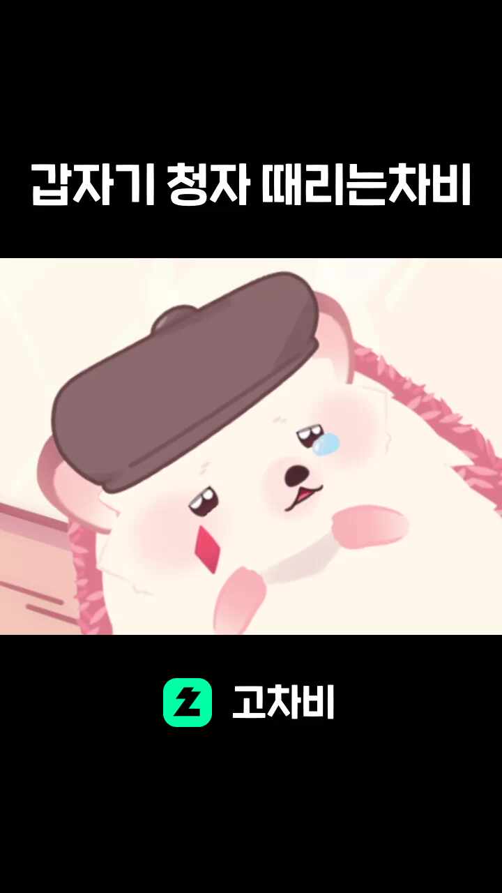 갑자기 청자 때리는차비