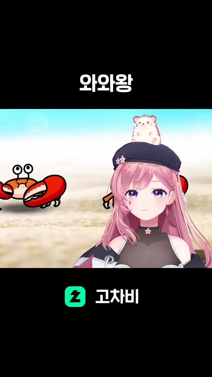 와와왕