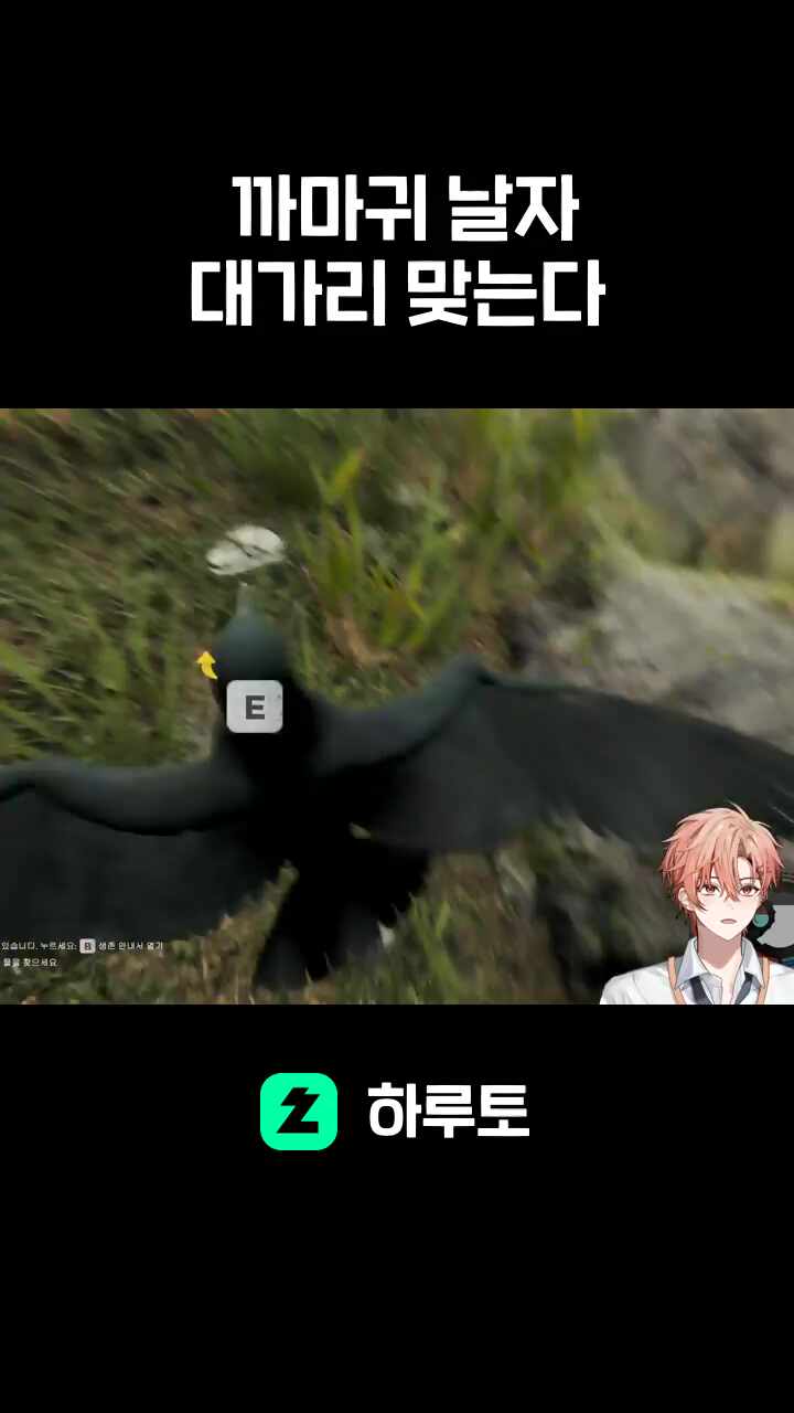 까마귀 날자 대가리 맞는다