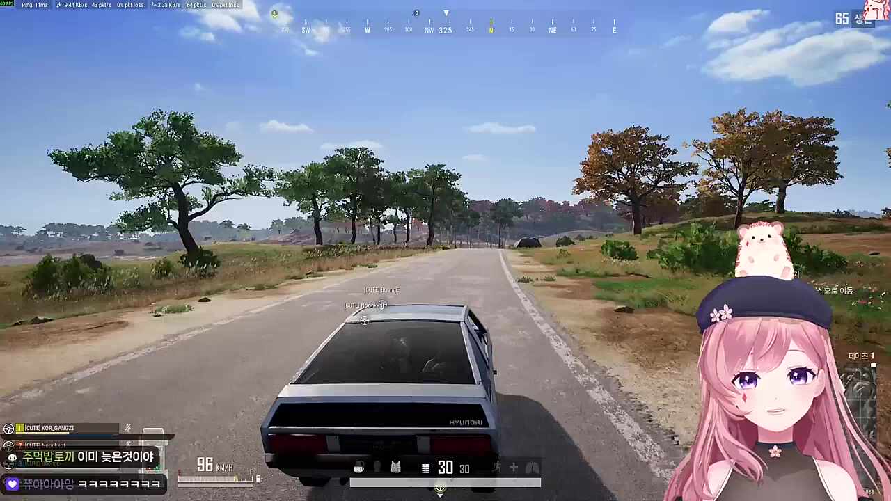 투명 모자?를 쓴 차비님