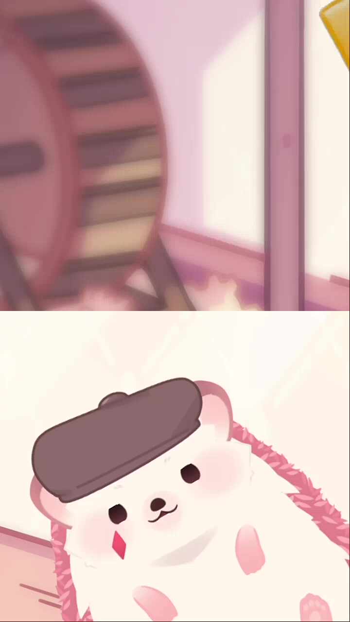 팍씨 2배럭
