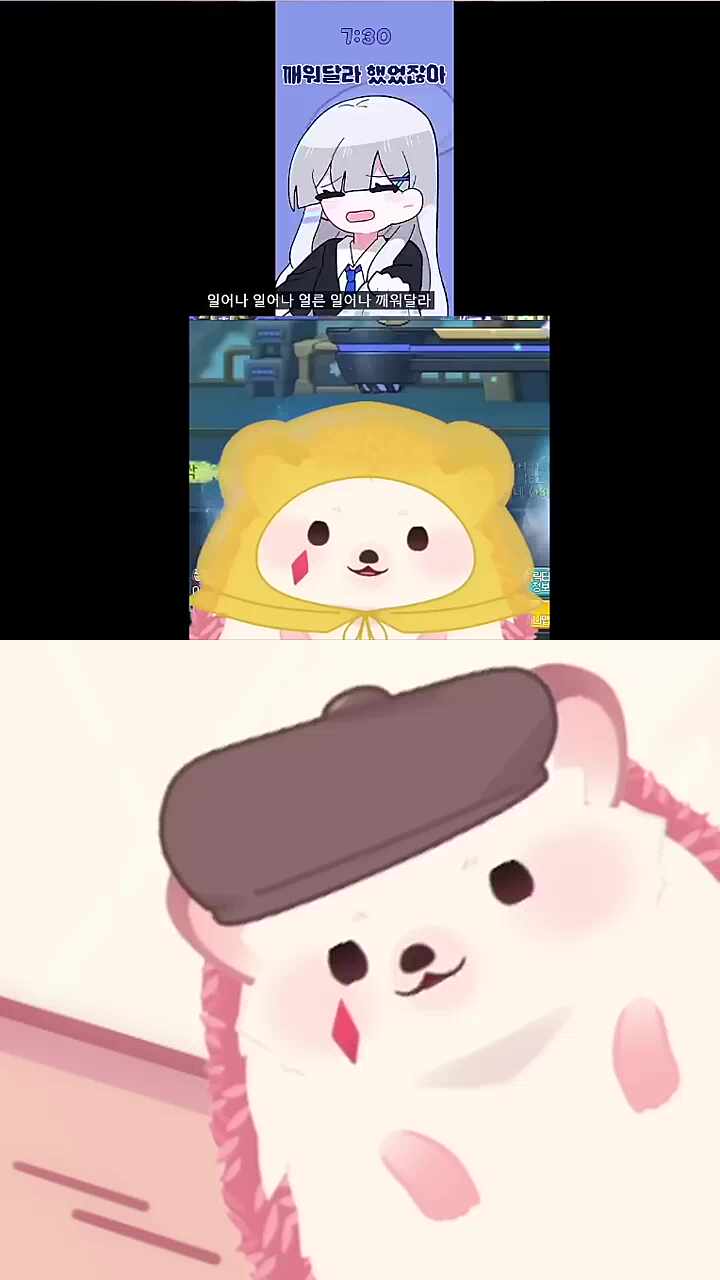도네 아니야 바보들아