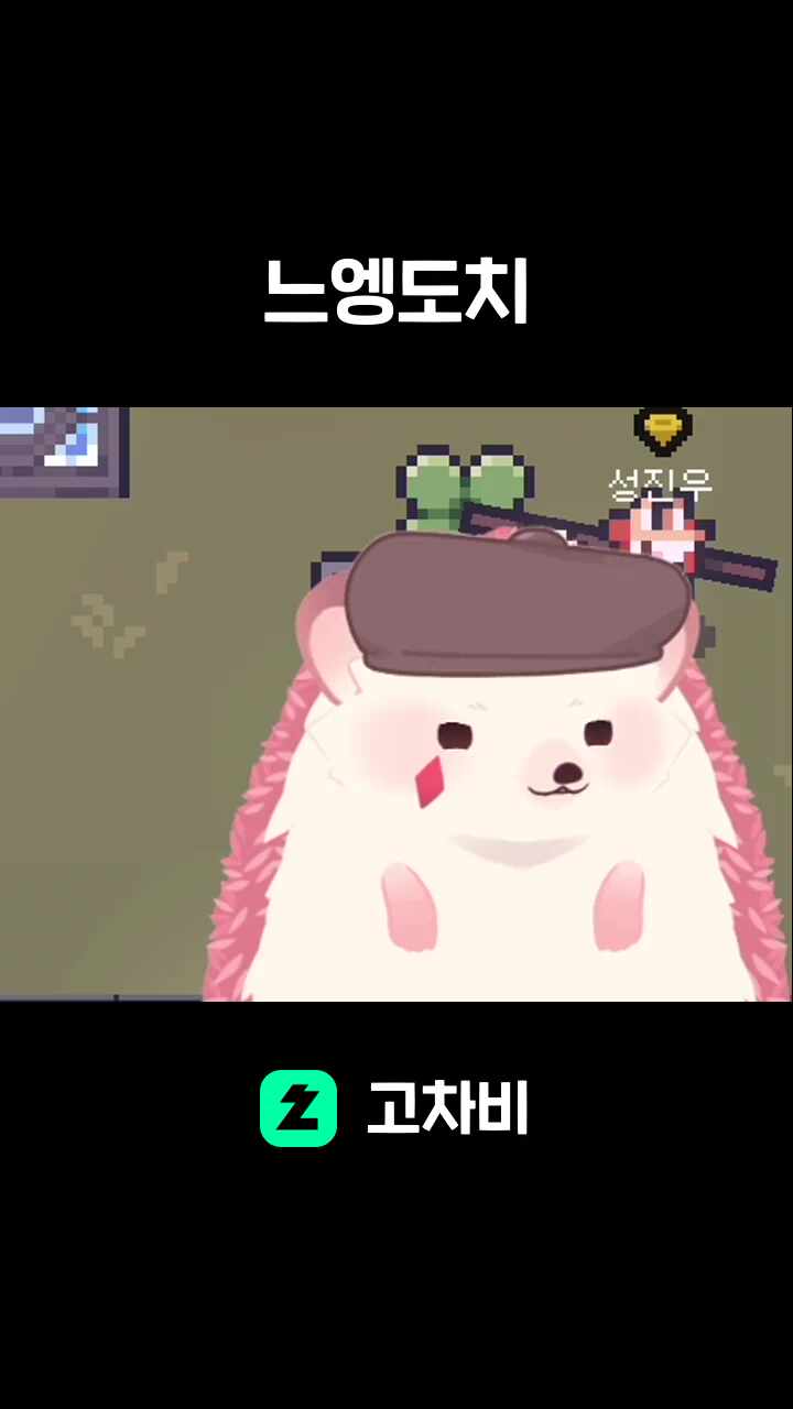느엥도치