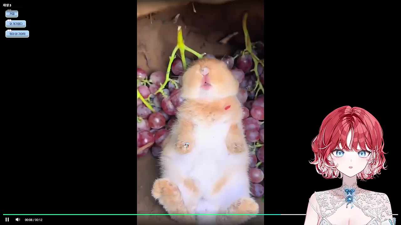 귀엽다 마치 레삐처럼