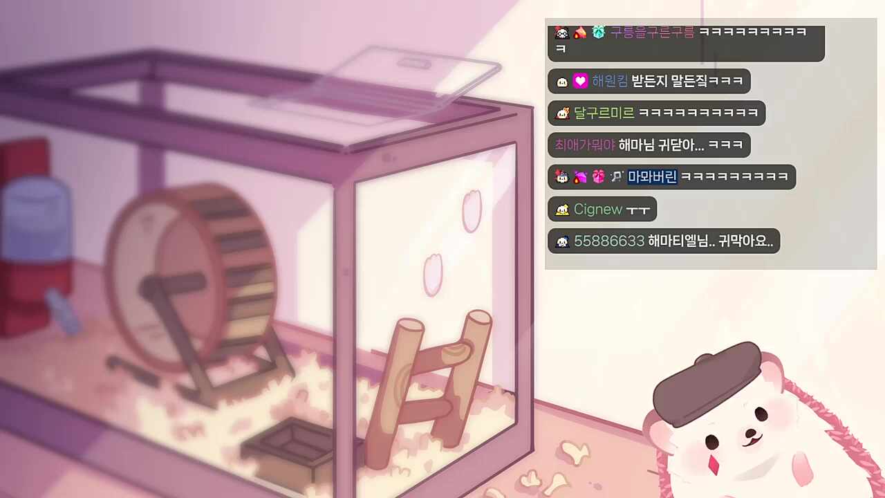 긁힌 나나양