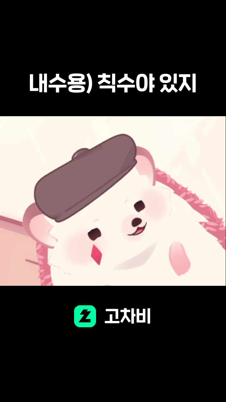 내수용) 칙수야 있지