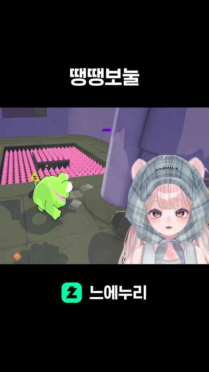 땡땡보눌