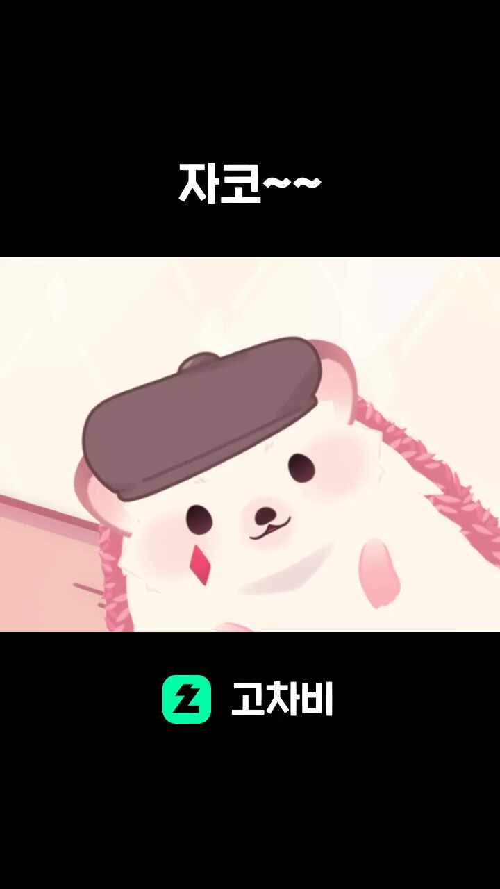 자코~~