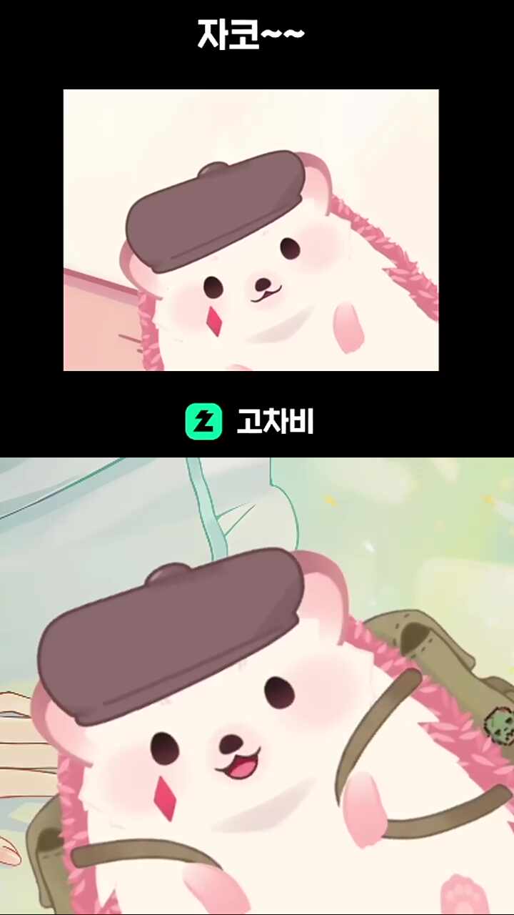 바카 
