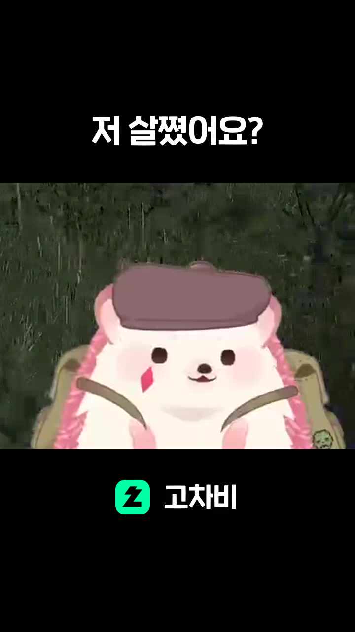 저 살쪘어요?