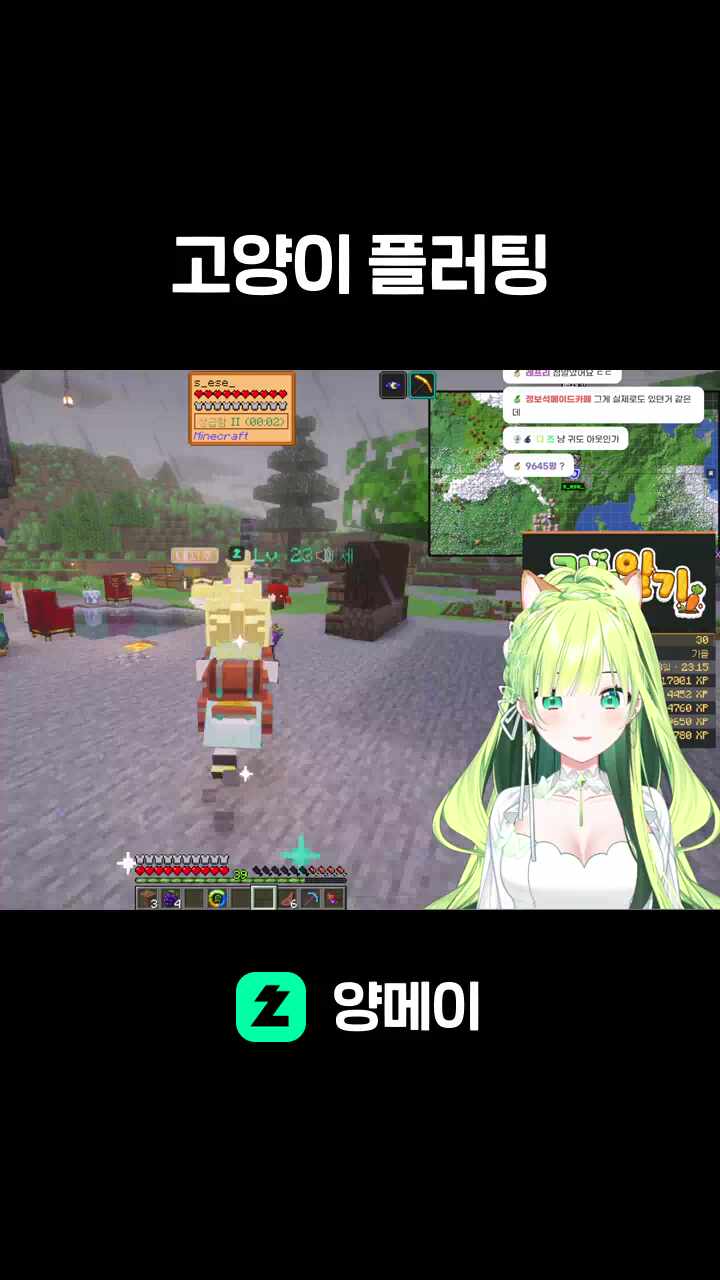 고양이 플러팅