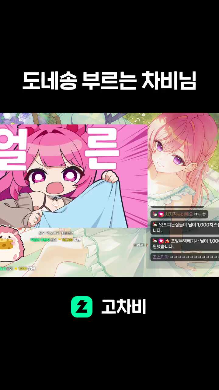 도네송 부르는 차비님