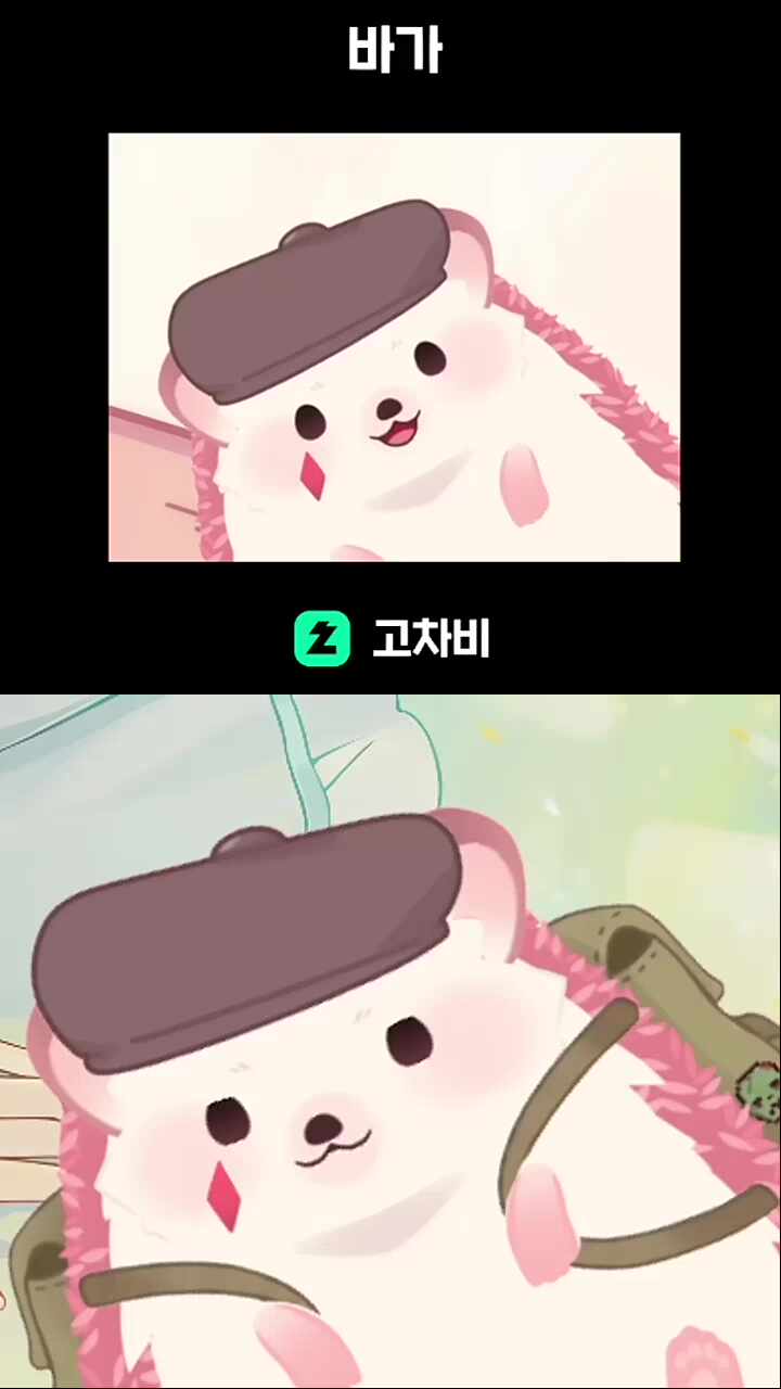 바가 