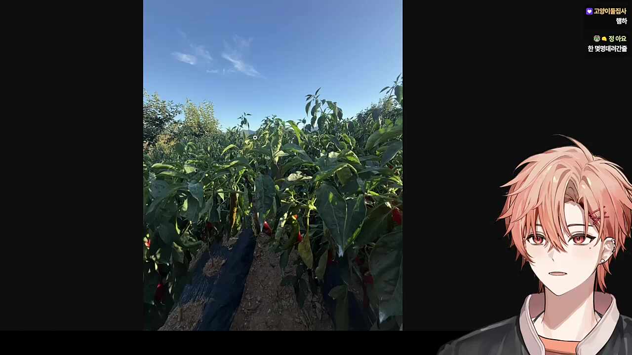 아디다스 모기한테 물렸다는 하루🐹