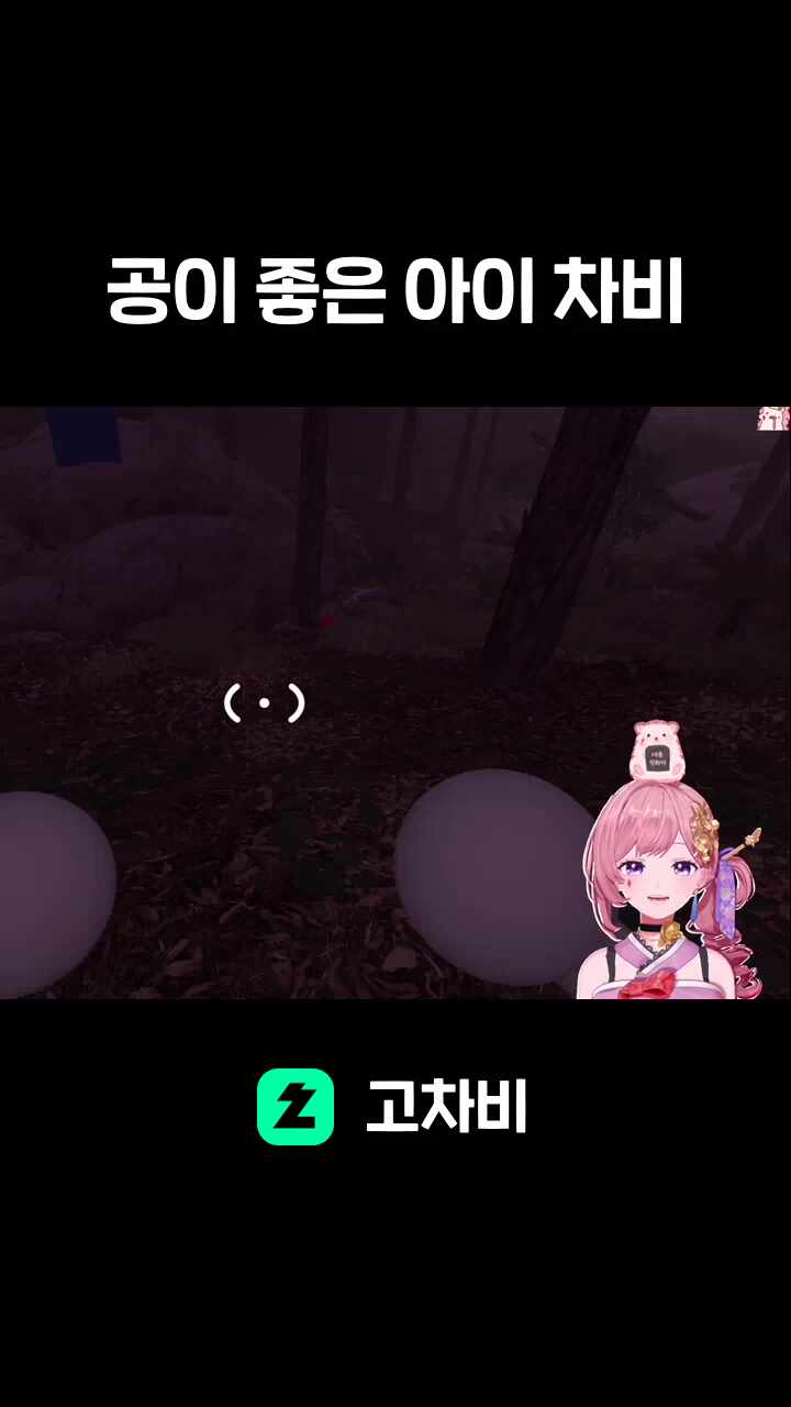 공이 좋은 아이 차비