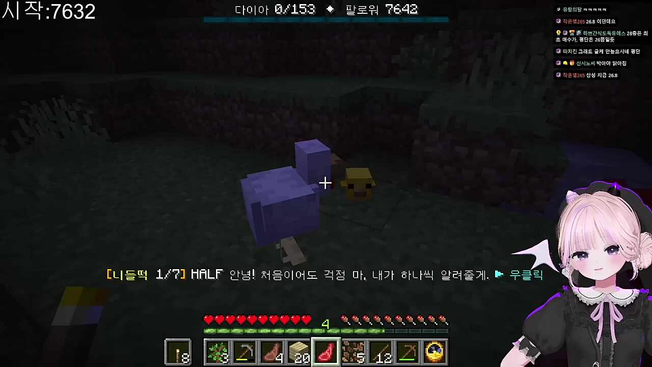 병아리 모야?!?? (펑!!)