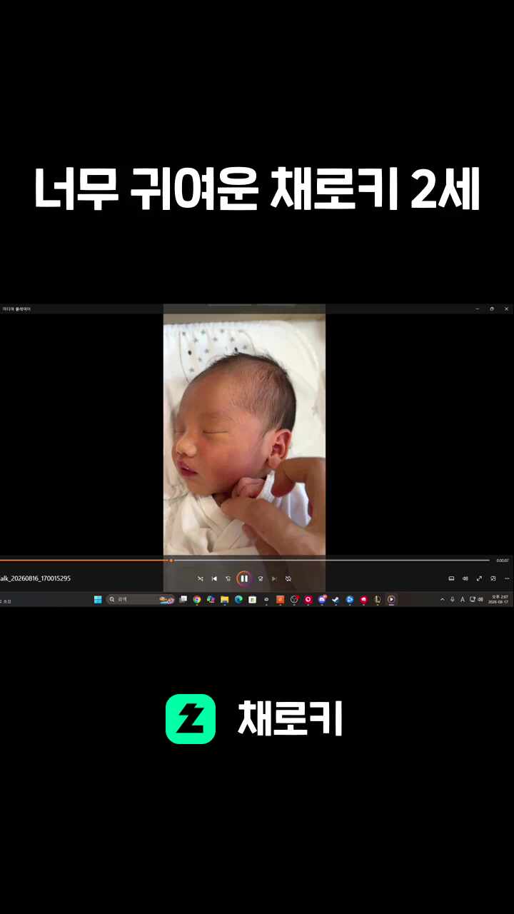 너무 귀여운 채로키 2세