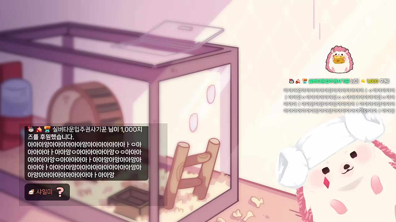 방송을 끈 차비는 이런거를 합니다