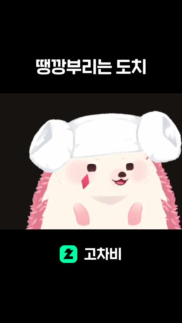 땡깡부리는 도치