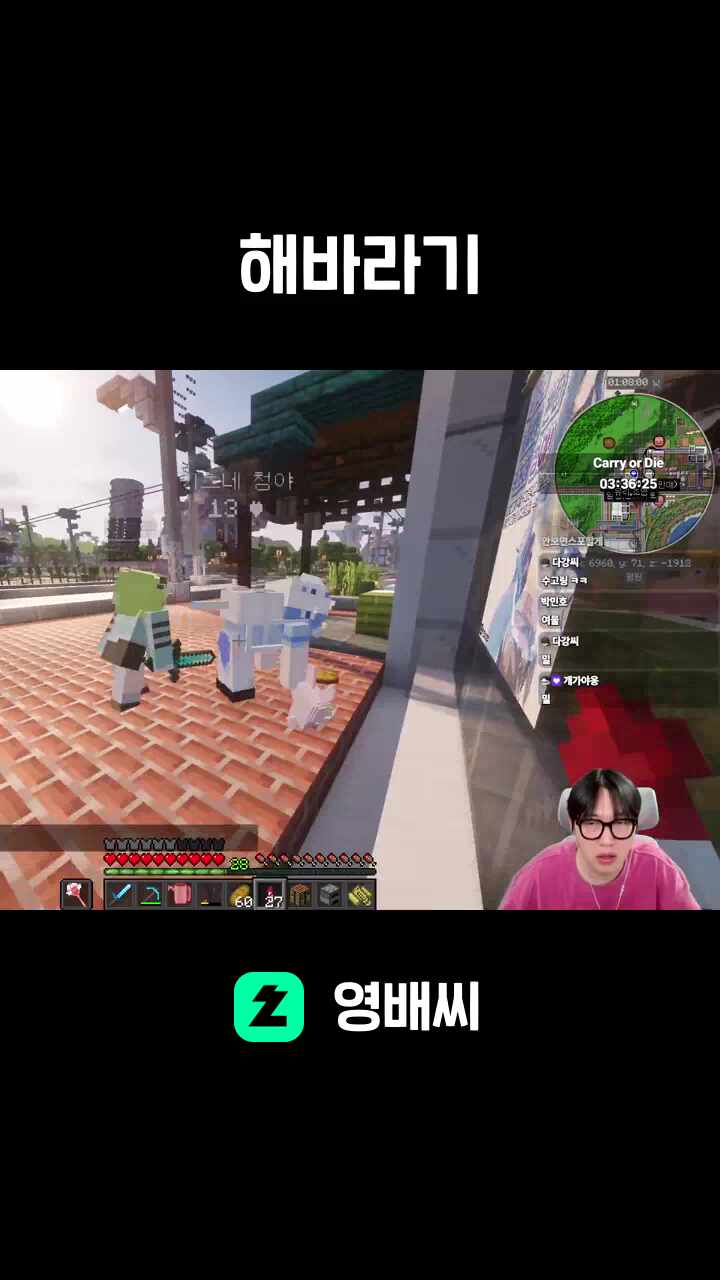 해바라기