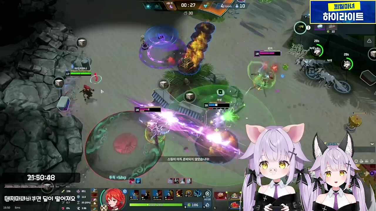 때지마뇨 하이라이트