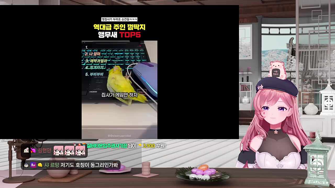 차비차비~
