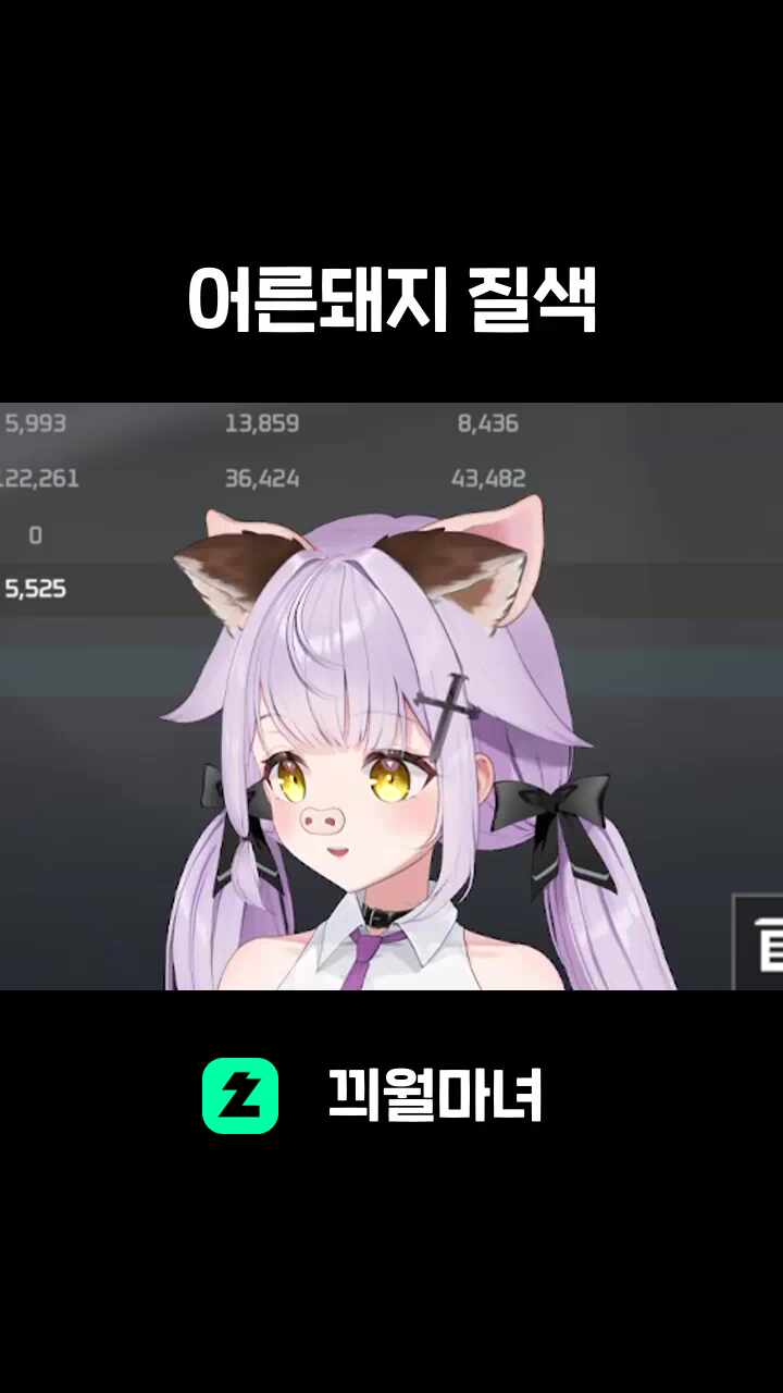 어른돼지 질색