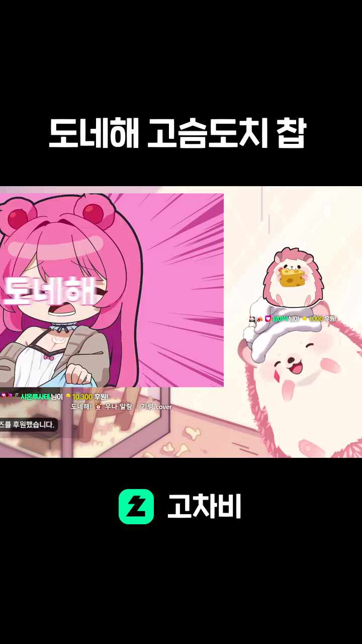 도네해 고슴도치 찹 