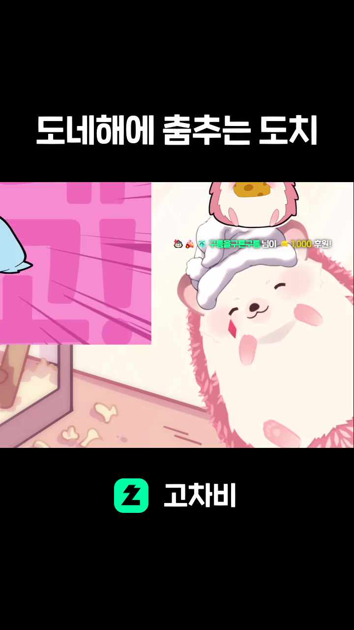 도네해에 춤추는 도치